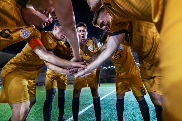 不仅如此 不仅如此