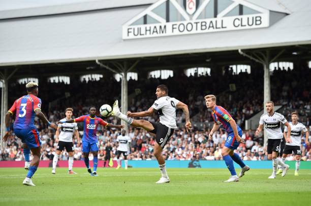 他们不仅提 他们不仅提